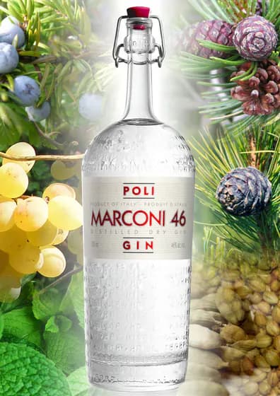 Confezione di Poli Marconi 46
