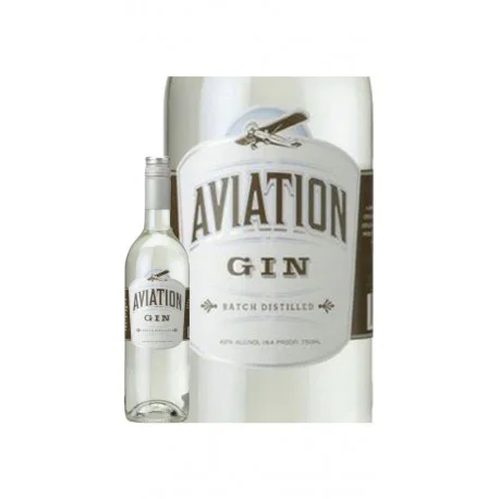 Aviation Magnum: vista principale